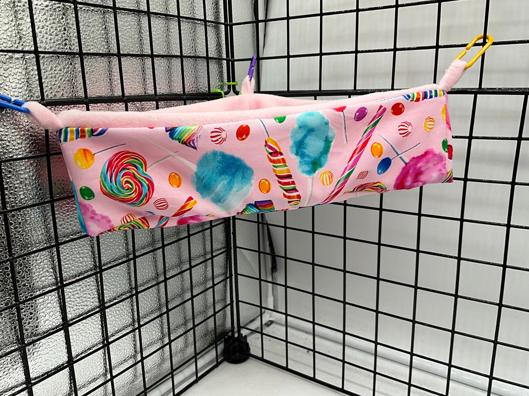 Sugar Glider Toy Box/rainbow Candy Etsy