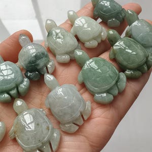 May include: A collection of small, carved jade turtle figurines in various shades of green and white. The turtles are detailed with visible legs, heads, and shells, and are held in a hand.