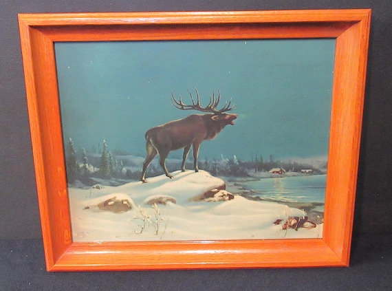 Beautiful 1927 Elk Original Art Print in Perfect Condition Hardwood mid century Frame