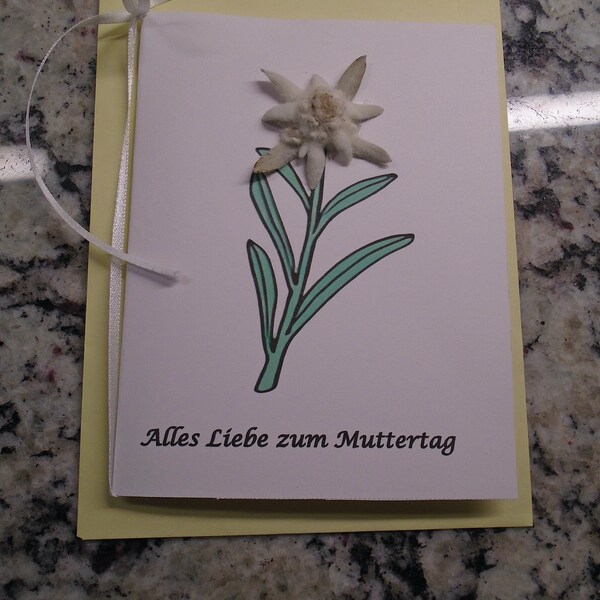 REAL Edelweiss Pressed Flower Mothers Day Card Germany Austrian Swiss Alps Blank Greeting Card MOM Alles Liebe zum Muttertag Sound of Music