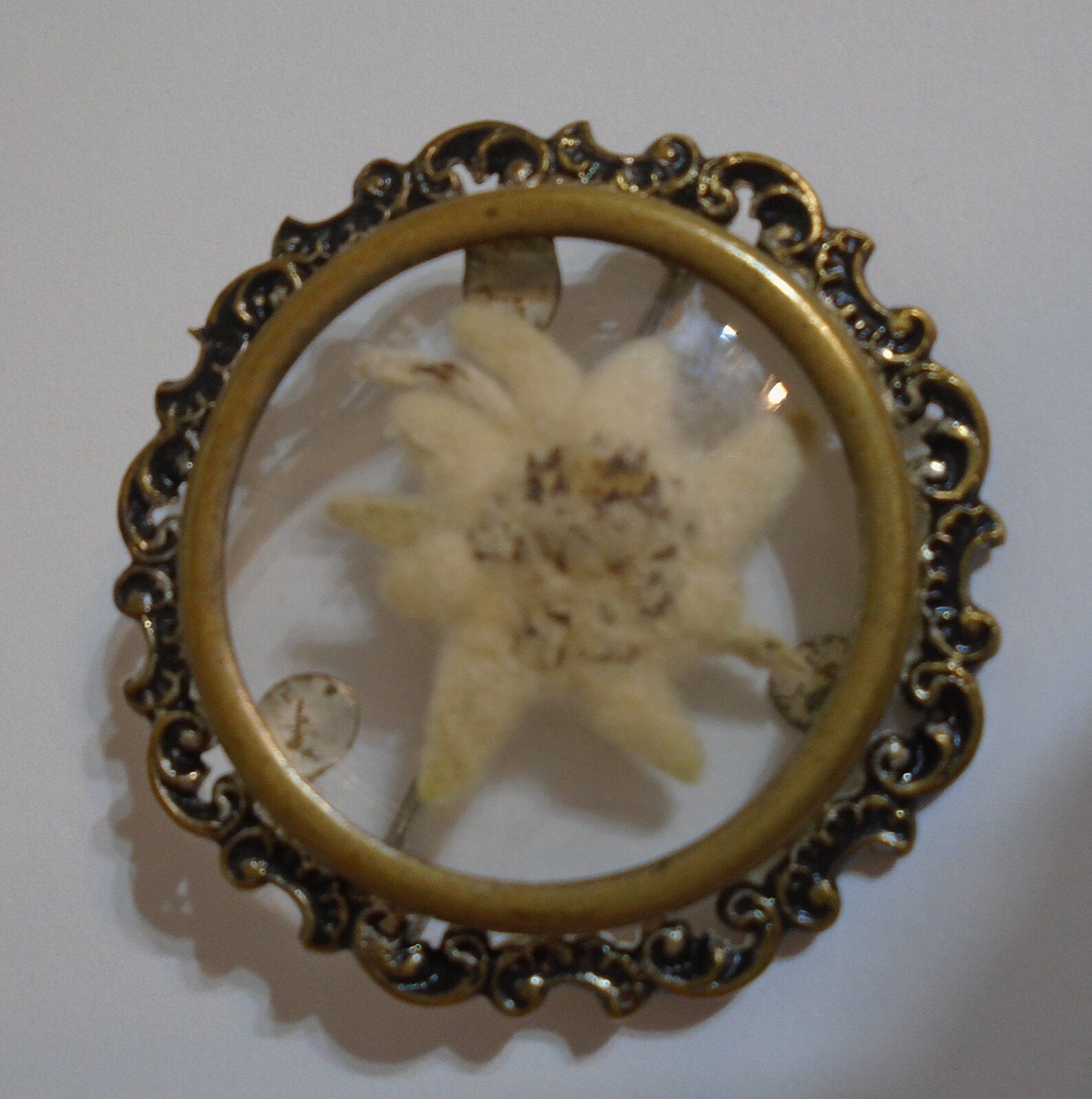 Vintage Real Flower Edelweiss Pin Brooch Alps Ornate Detailed Etsy