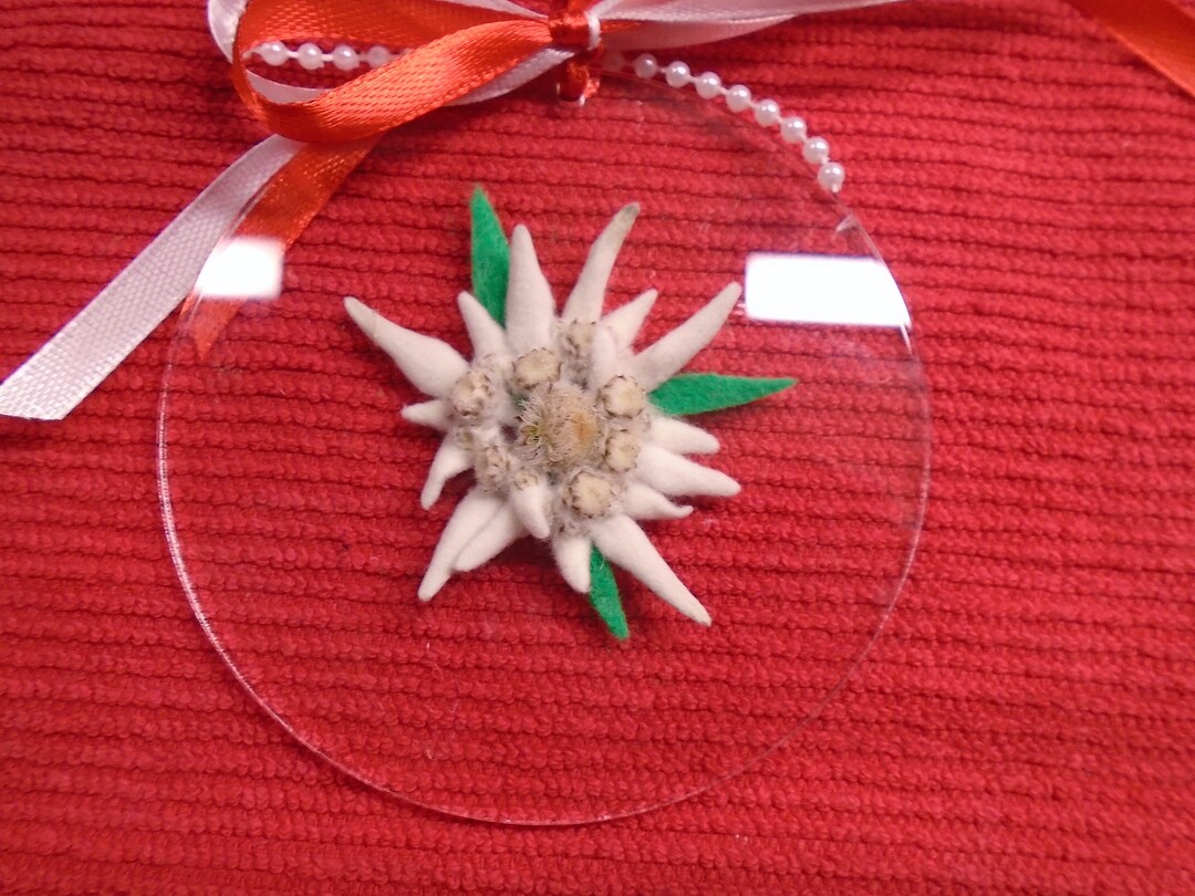 REAL Dried Flower Edelweiss Blossom Gift Christmas Ornament Etsy