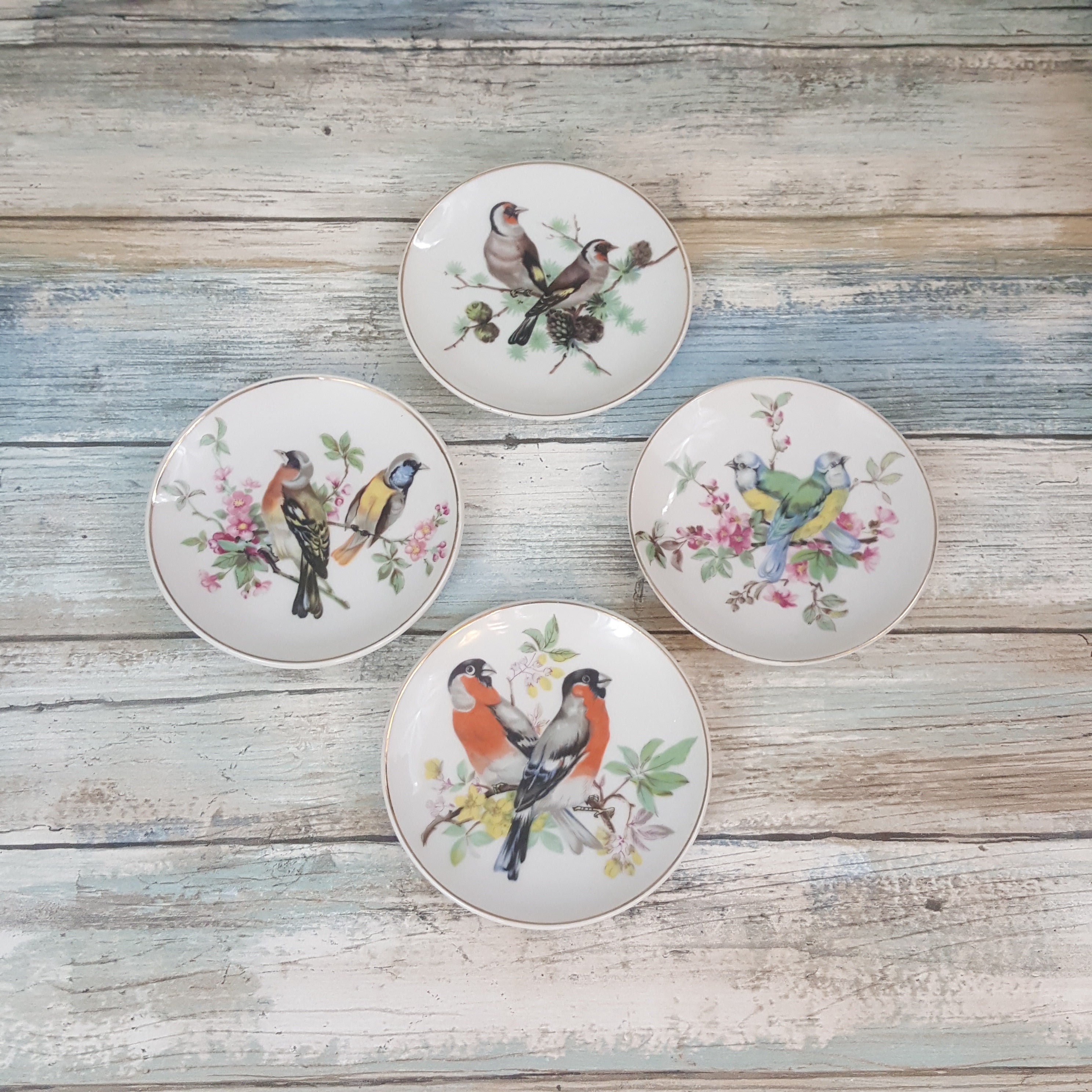 Vintage song bird plates, lot of four Made in Japan bird