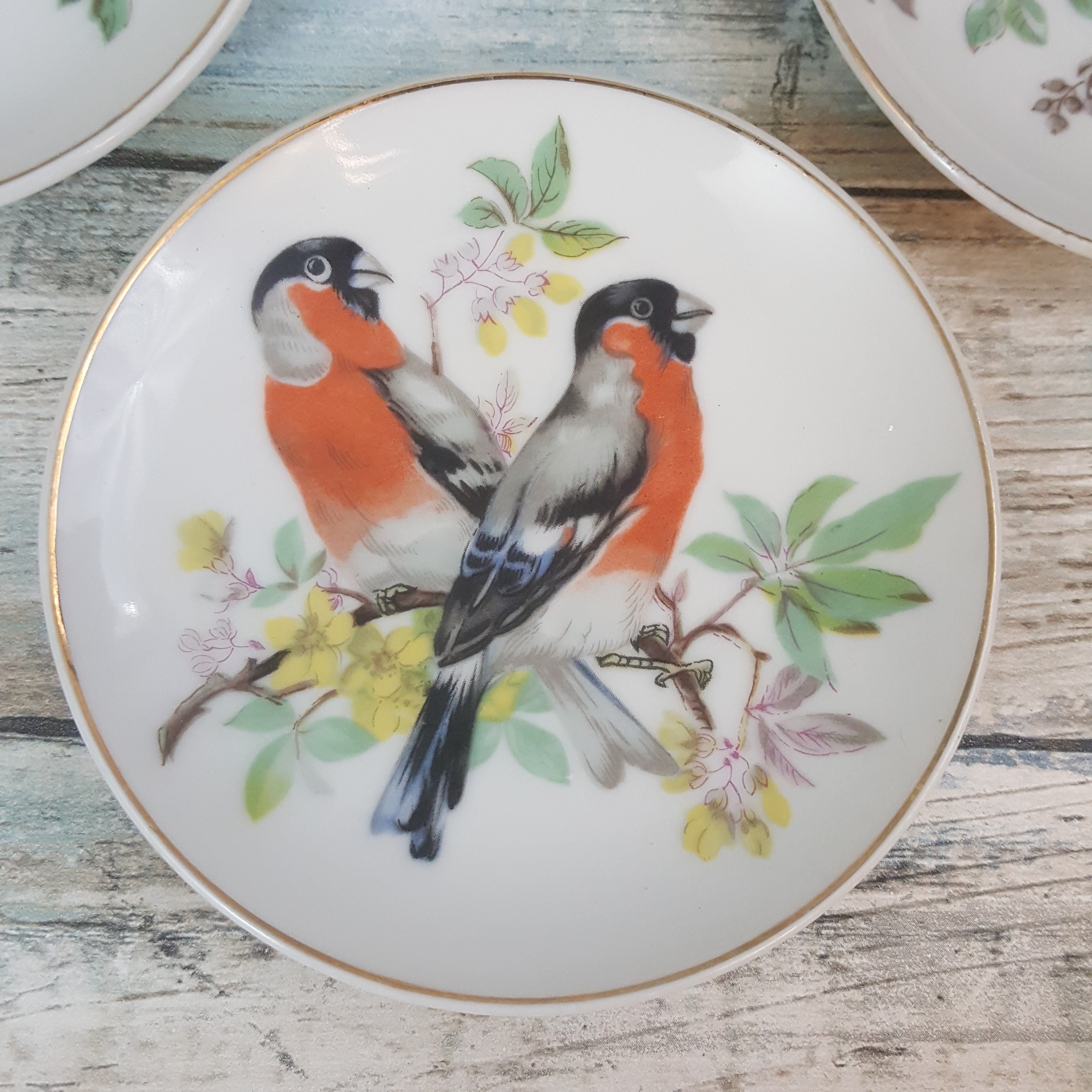 Vintage song bird plates, lot of four Made in Japan bird