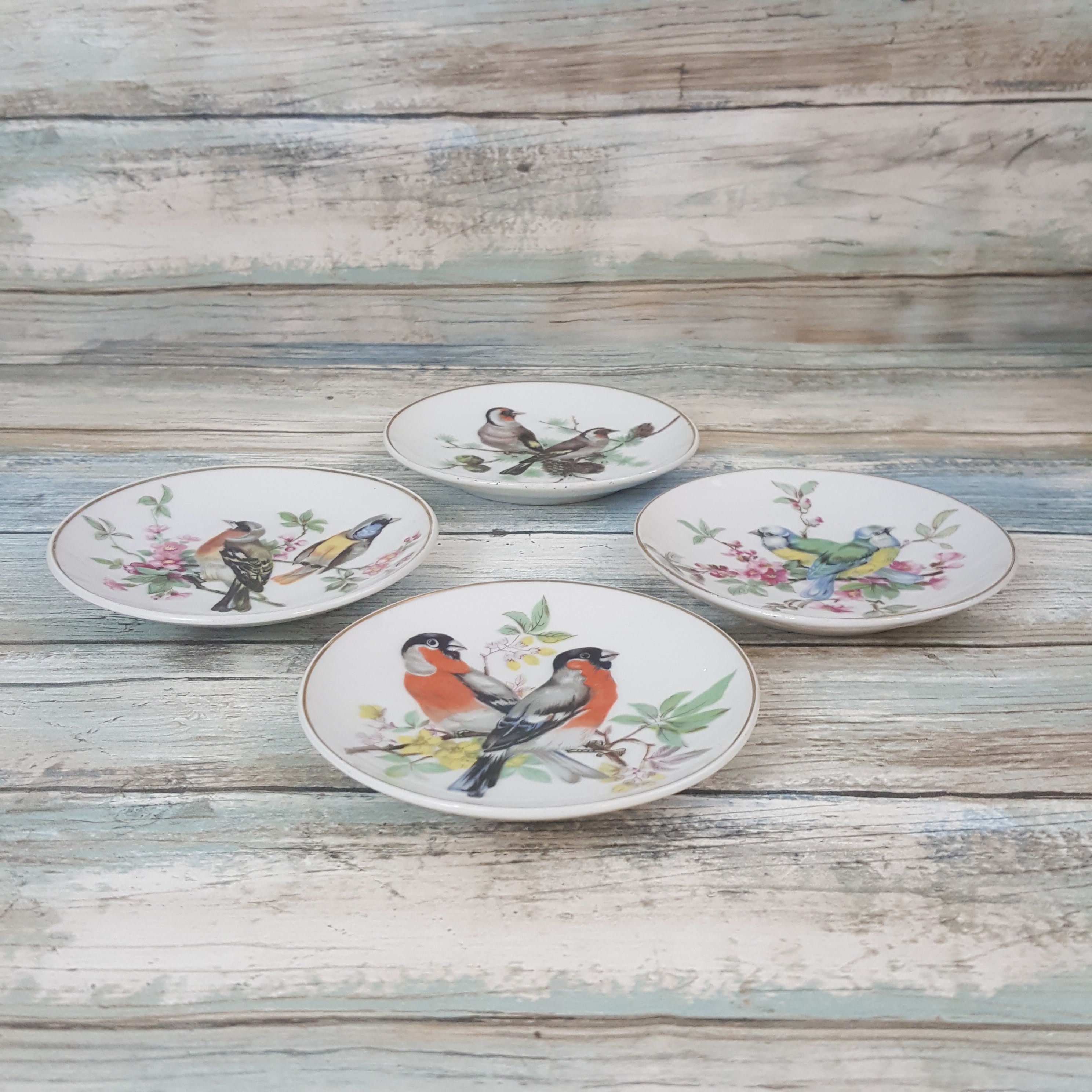 Vintage song bird plates, lot of four Made in Japan bird
