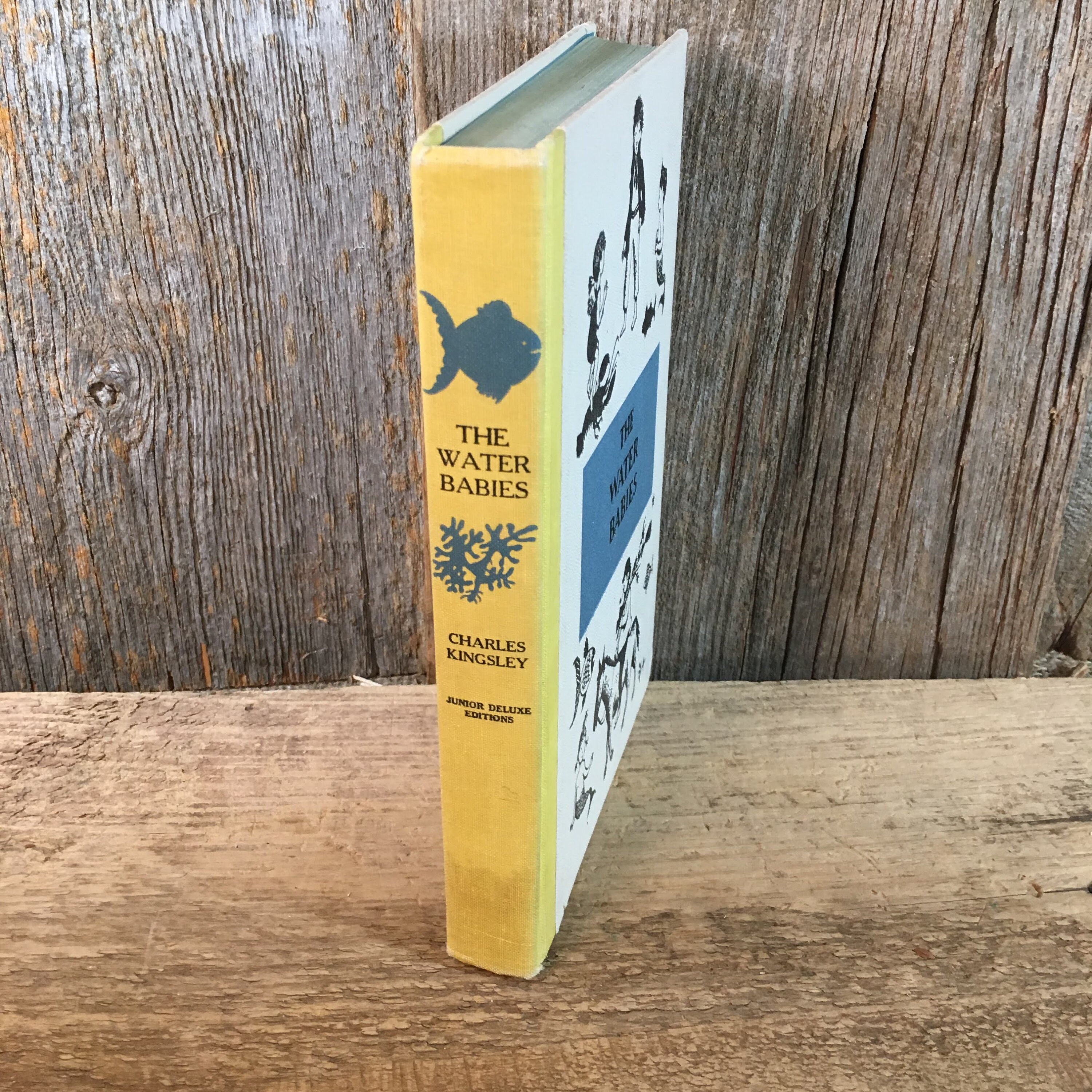 The Water Babies by Charles Kingsley Junior Deluxe Edition ...