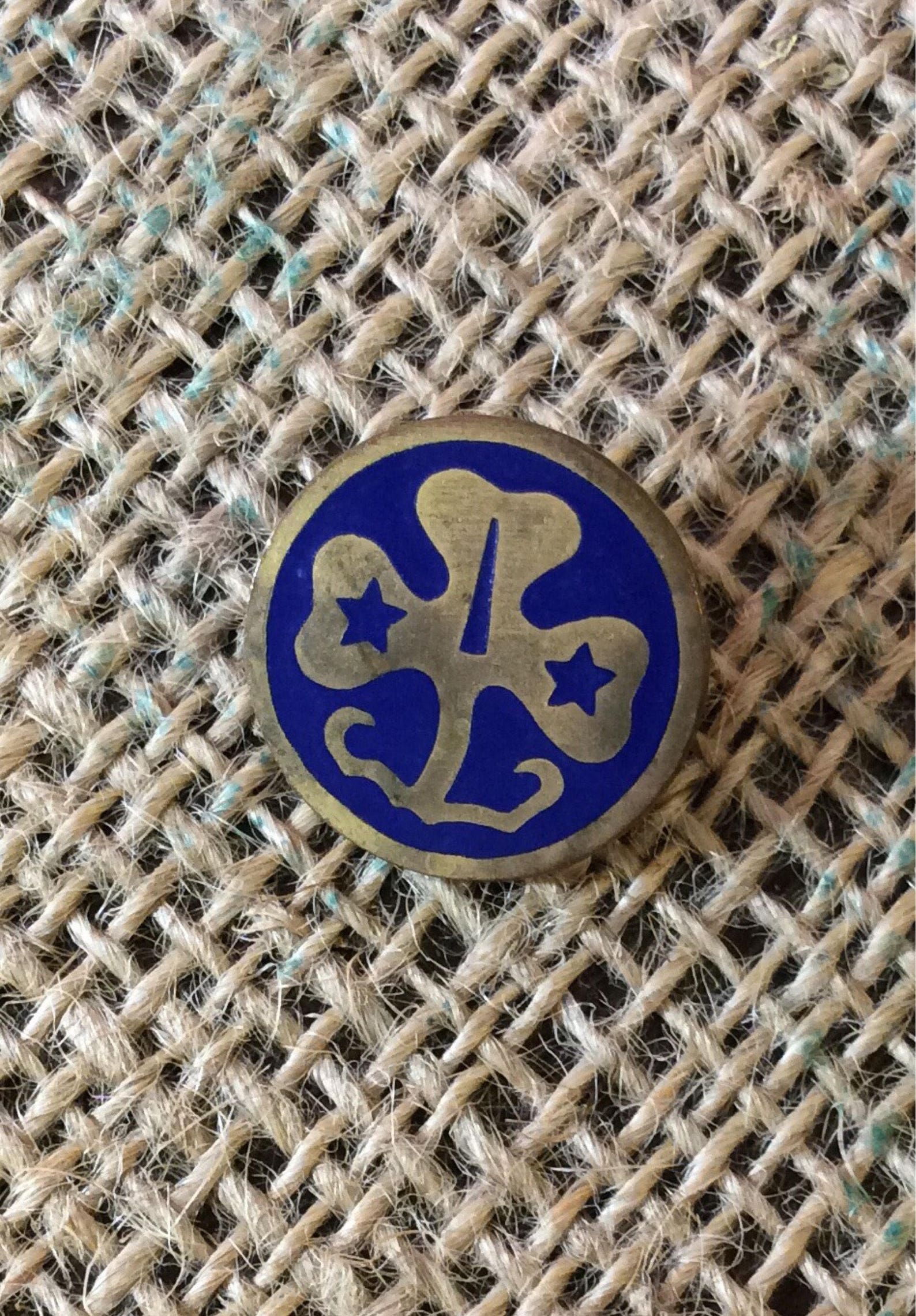 Girls Scout world Trefoil pin vintage Girl Scout Pin vintage Etsy