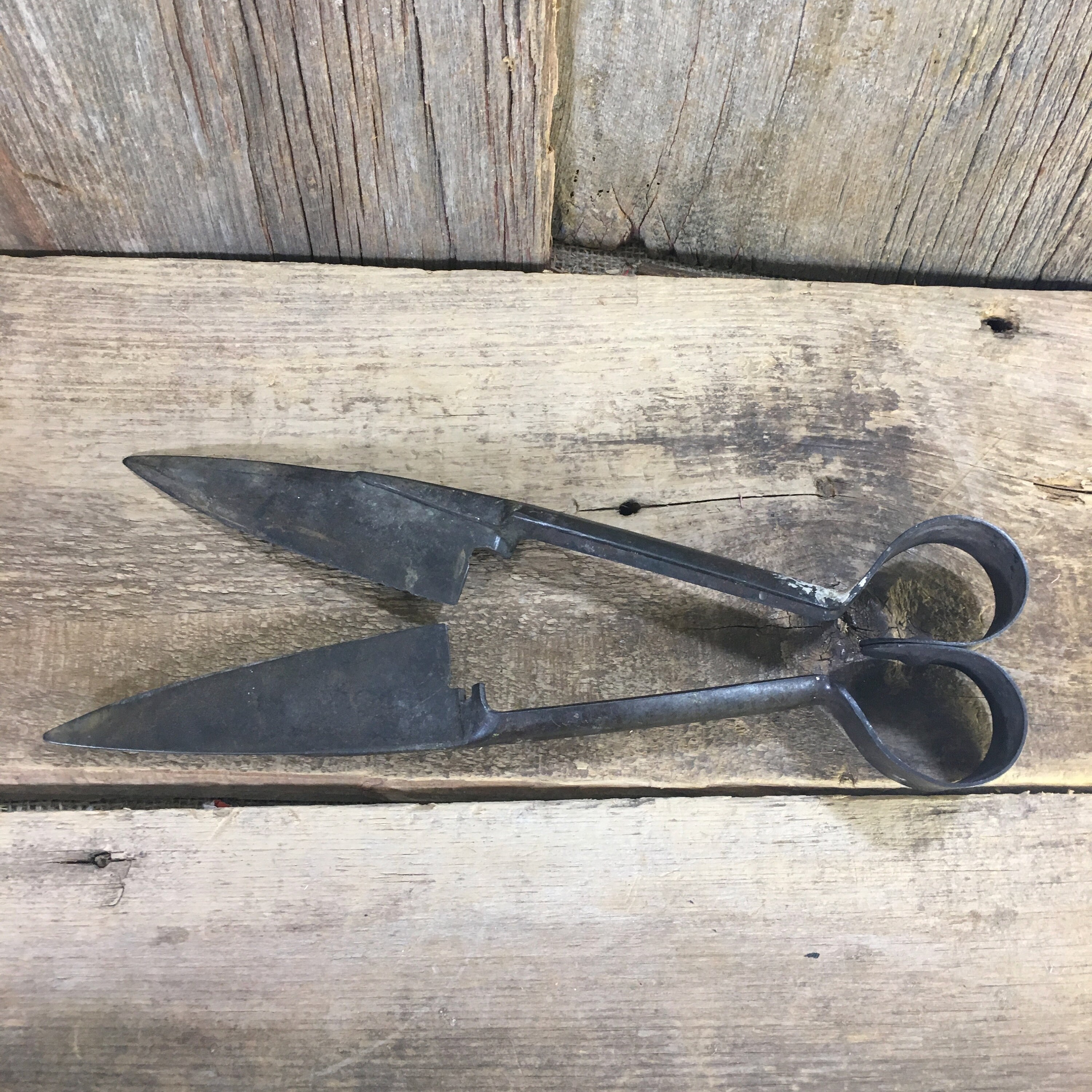 Vintage Rustic Primitive Sheep Shears Sheffield Sheep Shears