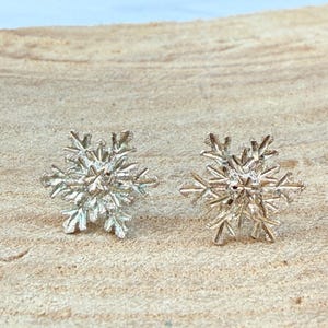 Peut inclure: Une paire de boucles d'oreilles à clous en métal argenté en forme de flocons de neige complexes à six branches. Chaque boucle présente une finition métallique texturée avec des bras détaillés rayonnant depuis un point central.