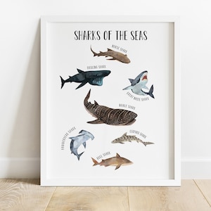 DIGITAL FILE, Shark Chart Print, Shark Print, Shark Poster, Ocean Animals, Marine Animal Poster, Educational Print, Classroom Decor