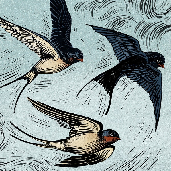 Swallows I - Limited Edition Philosophy of Birds Giclee Print