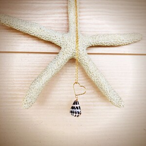 Cone shell necklace...