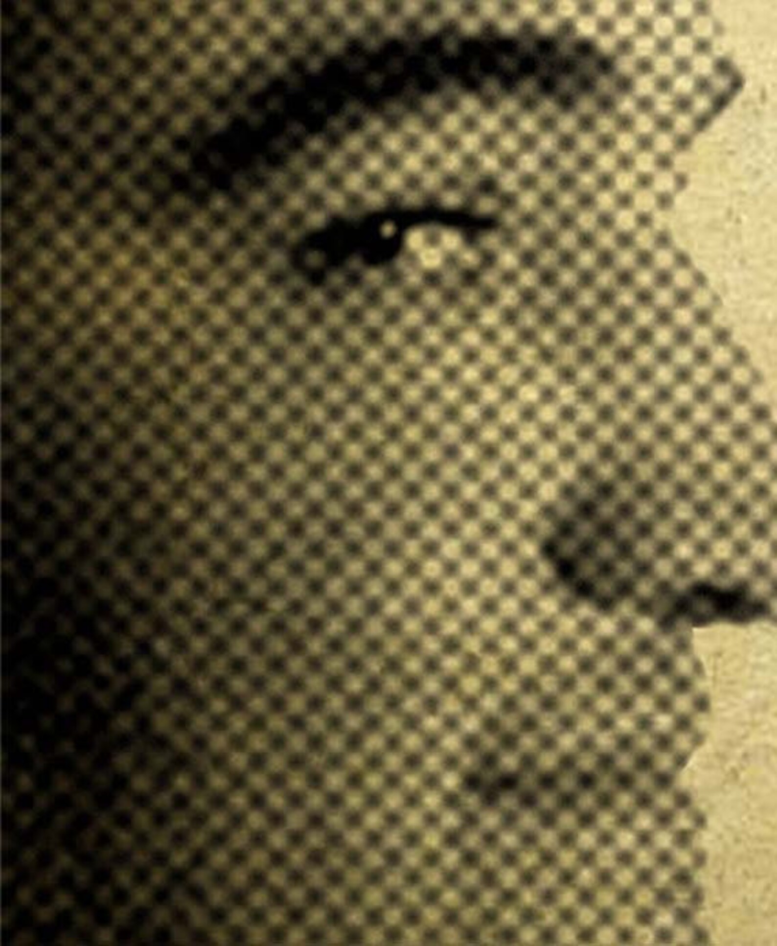 Animal House BLUTO start Drinking Heavily Quote Etsy