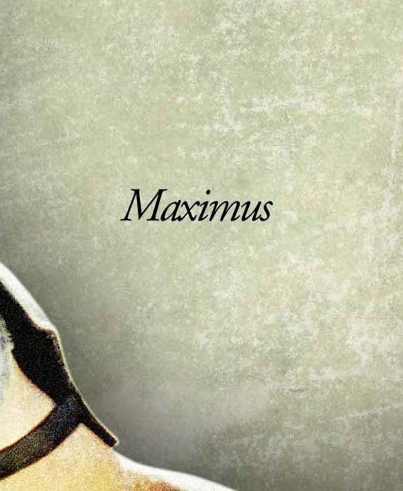 GLADIATOR are You Not Entertained Quote Poster Etsy