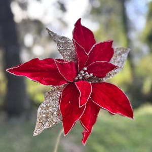 24" Regal Red and Gold Velvet With Glitter Poinsettia Stem Christmas ...