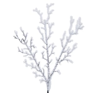 Schneebestäubter Weihnachtsspecht - Weihnachtsschneezweig - Weihnachtsschneezweig - Weihnachtskranzzweig - Schnee