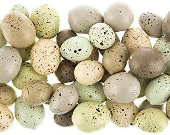 Natural Speckled Eggs Home Spring Decoration Pack