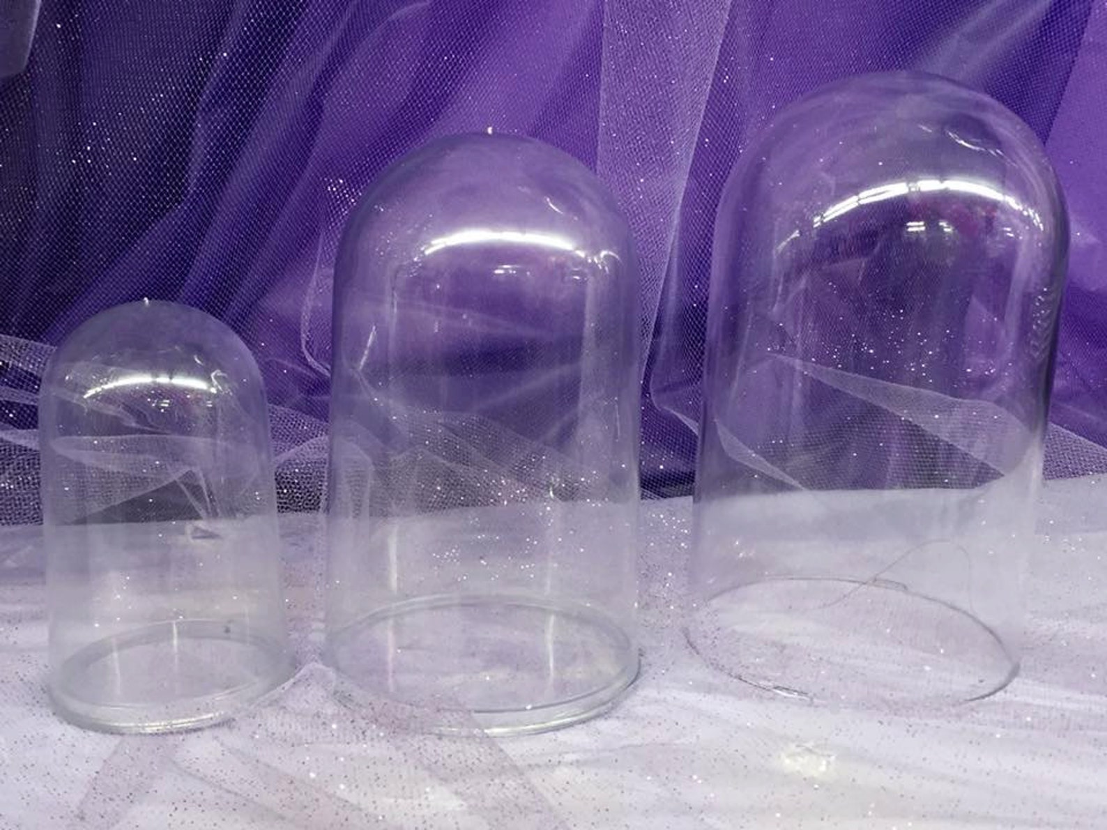Plastic Dome Case Display Centerpiece With Clear Base DIY Etsy