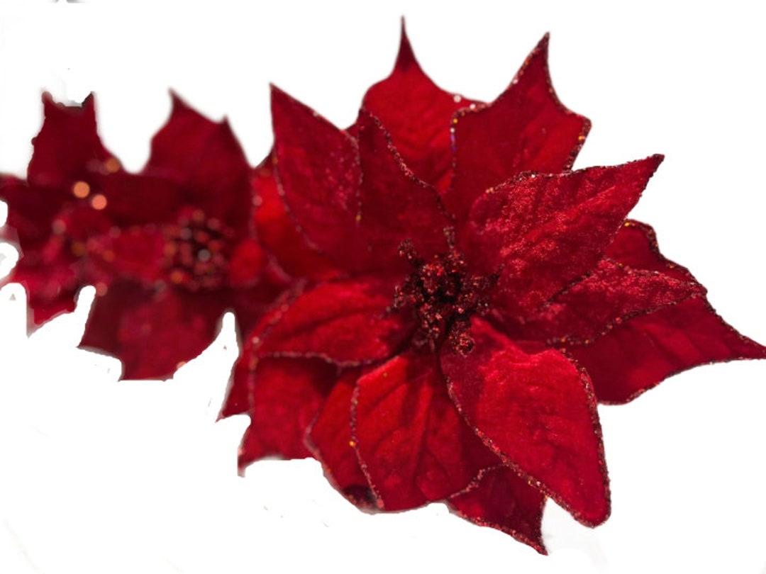 Stripped white and red poinsettia pick