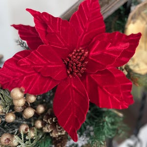 Weihnachtssternblte - Etsy.de