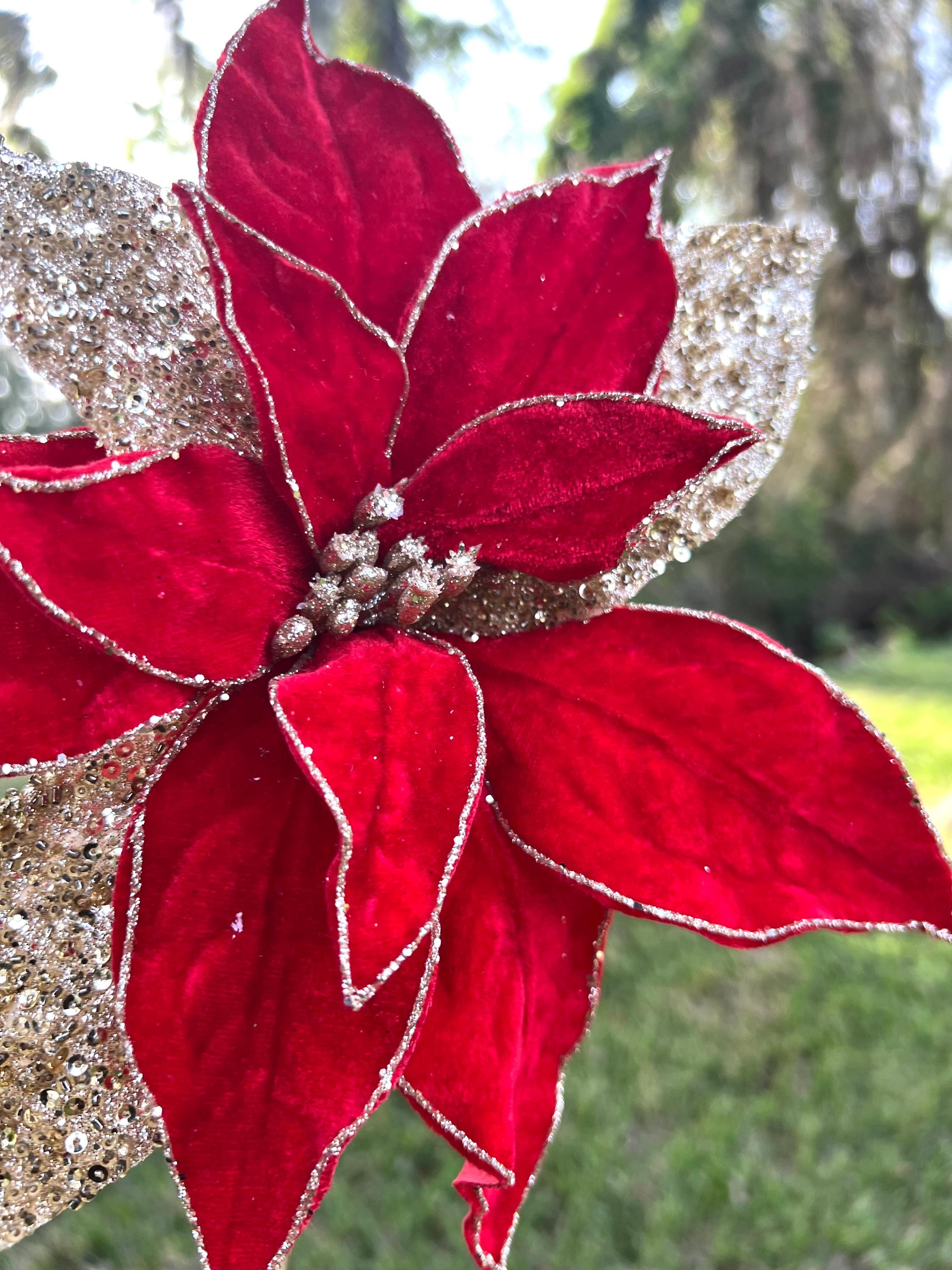 24" Regal Red and Gold Velvet With Glitter Poinsettia Stem Christmas ...
