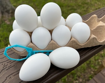 Craft Eggs Eggshells - One Dozen - for Crafting, Decor, Ornaments