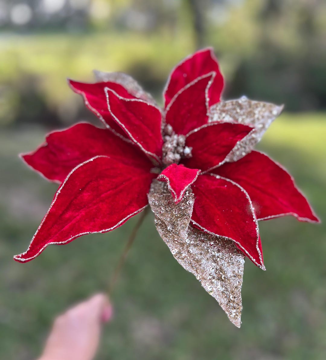 24" Regal Red and Gold Velvet With Glitter Poinsettia Stem Christmas ...