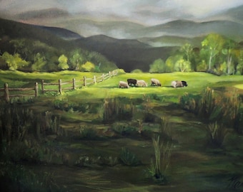 Sheep of Norwich Vermont