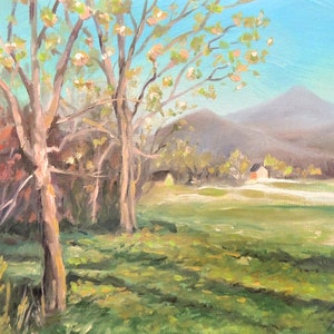 Springtime in the Meadow 7 x 5 Framed Oil Painting