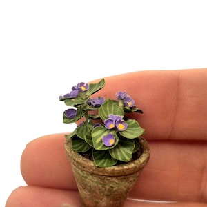 May include: A miniature potted plant featuring small purple flowers with yellow centers and green leaves with light green stripes. The plant is housed in a textured, speckled brown clay pot that is small enough to be held in the palm of a hand.