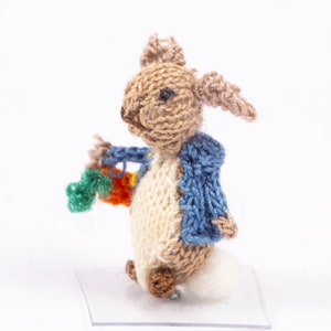Miniatura de casa de muñecas ¡Peter Rabbit tejido a mano de solo