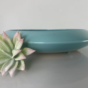 May include: A light blue ceramic bowl with a low profile and rounded edges. A faux succulent with green and pink leaves is positioned to the left of the bowl. The bowl is approximately 12 inches long.