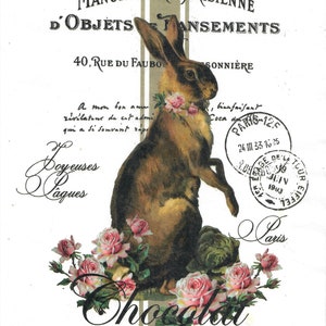 Carta di riso per decoupage scrapbooking artigianato lepre coniglio foglio A4 159