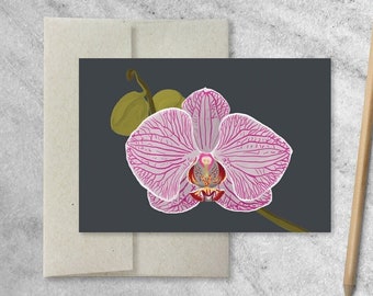 Orchid Thank You Notes: Boxed Stationery Set of 8