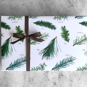 Evergreen Wrapping Paper | Holiday Gift Wrap | flat sheet paper, recyclable gift wrap, illustrated gift wrap, 5 rolled sheets