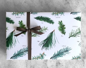 Evergreen Wrapping Paper | Holiday Gift Wrap | flat sheet paper, recyclable gift wrap, illustrated gift wrap, 5 rolled sheets