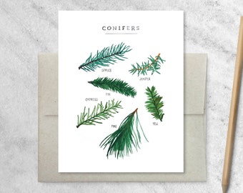 Boxed Christmas Cards, Evergreen Boxed Greeting Cards with Kraft Envelopes | Holiday Cards Set of 8