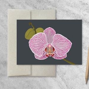 de correspondance pliés | Notes de remerciement | Papeterie en boîte | Cartes de correspondance vierges A1 | Notes pliées | de remerciements | Orchidée, lot de 8 en boîte