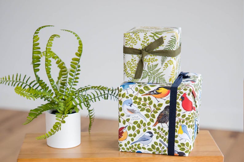 Illustrated Birds Gift Wrap: All Occasion Wrapping Paper, 3 Sheets Bild 2