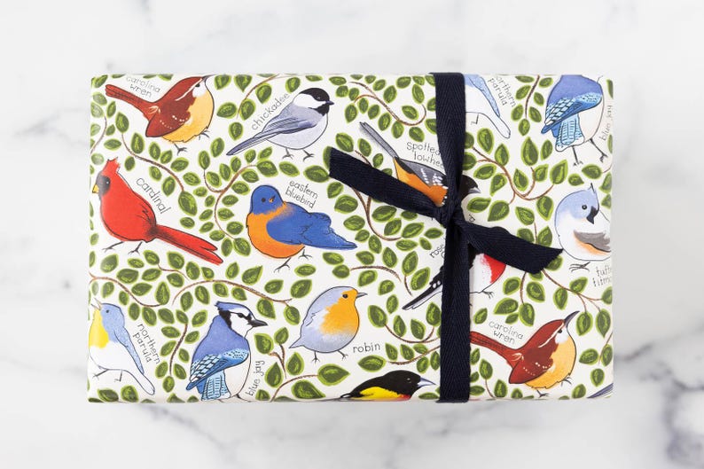Illustrated Birds Gift Wrap: All Occasion Wrapping Paper, 3 Sheets Bild 1