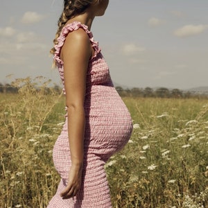 Eva Dress, Shirred Stretchy Midi Dress Pink Mini Gingham