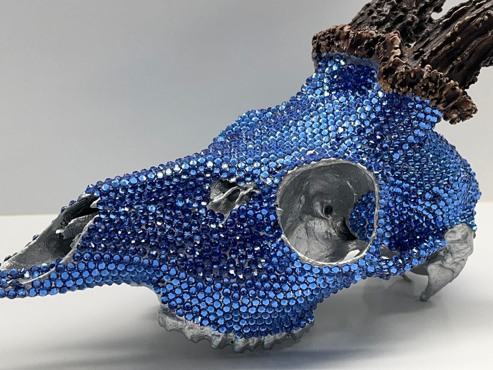 Swarovski Rhinestone Crystal Deer Skull Sapphire Etsy