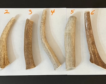One SMALL/MEDIUM Antler Dog Chew Treat