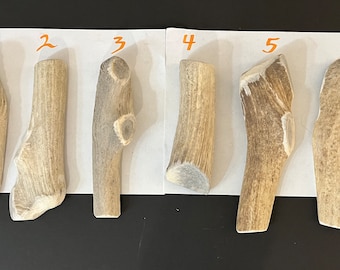 One Half 'Split' MEDIUM/LARGE Antler Dog Chew Treat