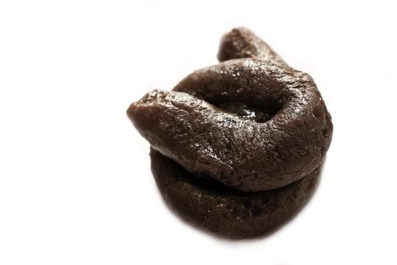 4 Poo Soap / Poop Soap / Gag or Prank Gift Soap Package Etsy