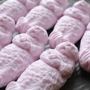 6 Otter Soap - Soap Package