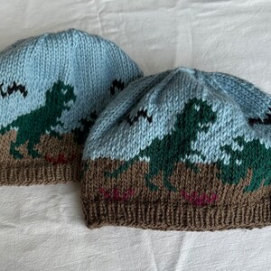 Dinosaurs Stocking Cap, Winter Hat, Beanie Dinos Winter Hat, Hand Knit image 9