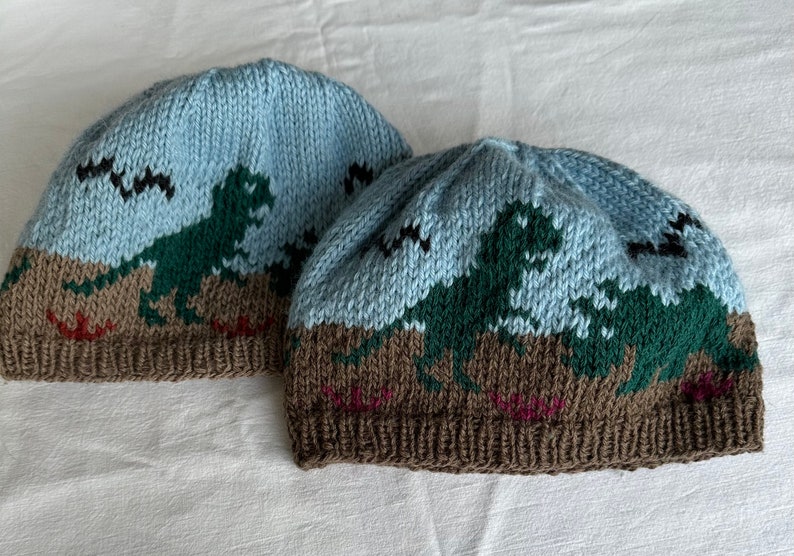 Dinosaurs Stocking Cap, Winter Hat, Beanie Dinos Winter Hat, Hand Knit image 9