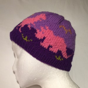 Dinosaurs Stocking Cap, Winter Hat, Beanie Dinos Winter Hat, Hand Knit Color 3