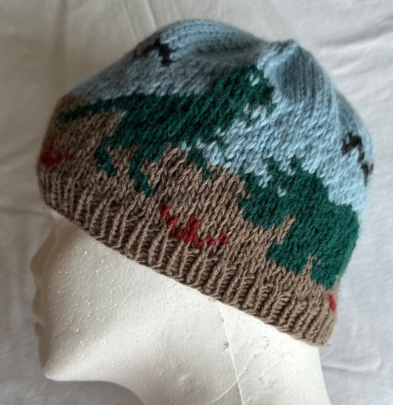 Dinosaurs Stocking Cap, Winter Hat, Beanie Dinos Winter Hat, Hand Knit Color 5